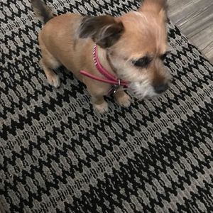 Meet your Posher, Madeline